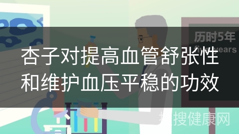 杏子对提高血管舒张性和维护血压平稳的功效