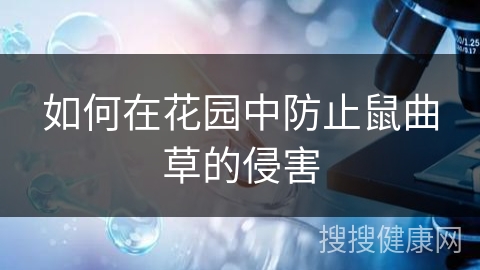 如何在花园中防止鼠曲草的侵害