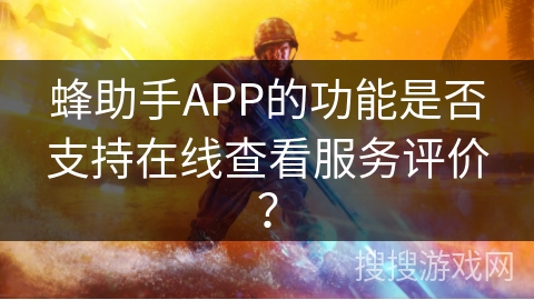 蜂助手APP的功能是否支持在线查看服务评价？