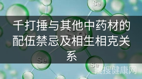 千打捶与其他中药材的配伍禁忌及相生相克关系