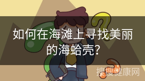 如何在海滩上寻找美丽的海蛤壳？