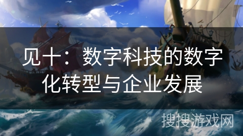 见十：数字科技的数字化转型与企业发展