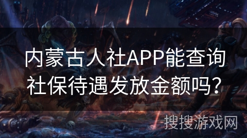 内蒙古人社APP能查询社保待遇发放金额吗？