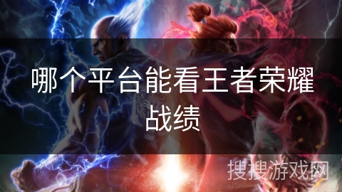 哪个平台能看王者荣耀战绩