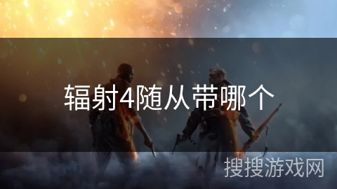 辐射4随从带哪个