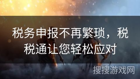 税务申报不再繁琐，税税通让您轻松应对