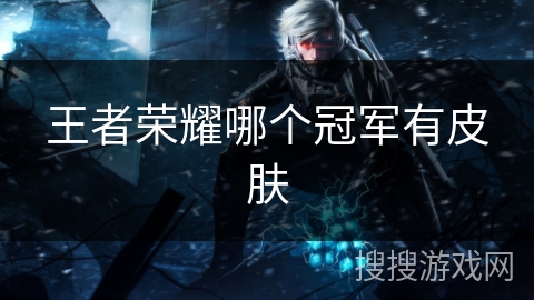 王者荣耀哪个冠军有皮肤