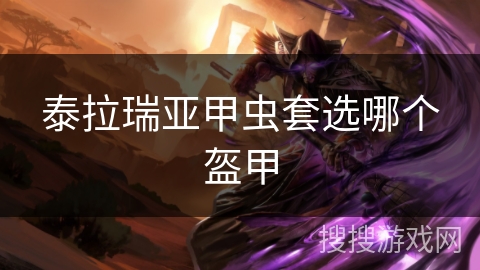 泰拉瑞亚甲虫套选哪个盔甲