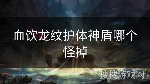 血饮龙纹护体神盾哪个怪掉