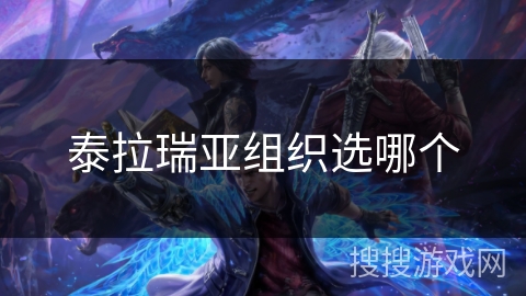 泰拉瑞亚组织选哪个