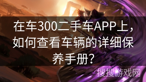 在车300二手车APP上，如何查看车辆的详细保养手册？