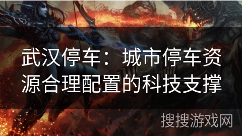 武汉停车：城市停车资源合理配置的科技支撑