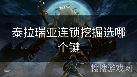 泰拉瑞亚连锁挖掘选哪个键