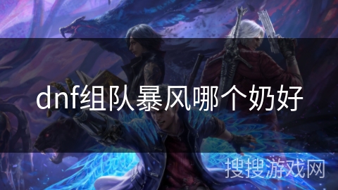 dnf组队暴风哪个奶好 dnf组队暴风哪个奶好