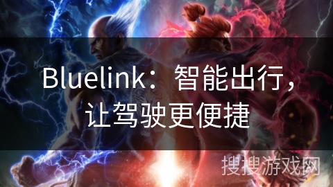 Bluelink：智能出行，让驾驶更便捷