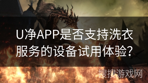 U净APP是否支持洗衣服务的设备试用体验？