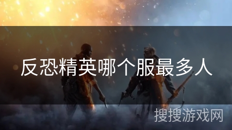 反恐精英哪个服最多人