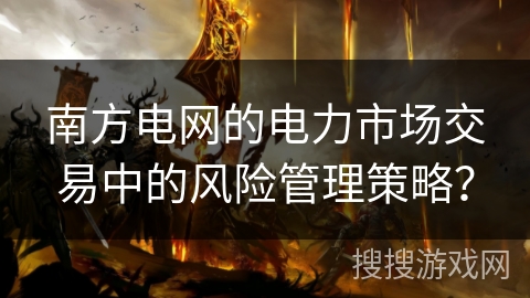 南方电网的电力市场交易中的风险管理策略？