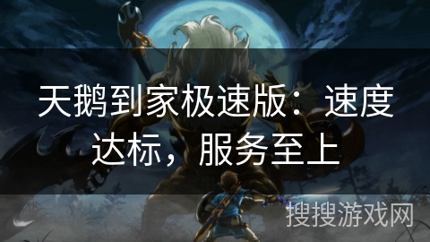 天鹅到家极速版：速度达标，服务至上