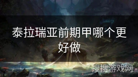 泰拉瑞亚前期甲哪个更好做