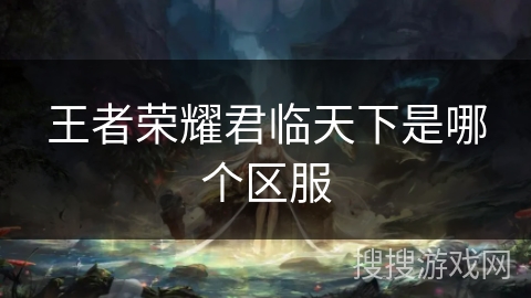 王者荣耀君临天下是哪个区服