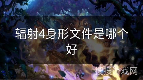 辐射4身形文件是哪个好