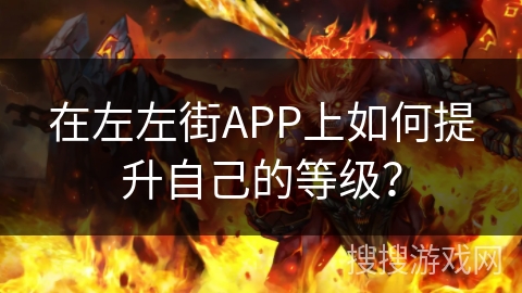 在左左街APP上如何提升自己的等级？