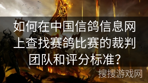 如何在中国信鸽信息网上查找赛鸽比赛的裁判团队和评分标准? 如何在中国信鸽信息网上查找赛鸽比赛的裁判团队和评分标准?