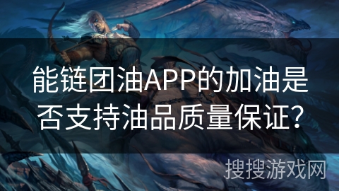 能链团油APP的加油是否支持油品质量保证？