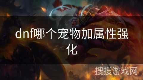 dnf哪个宠物加属性强化 dnf哪个宠物加属性强化