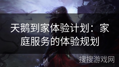 天鹅到家体验计划：家庭服务的体验规划