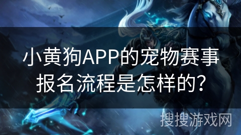 小黄狗APP的宠物赛事报名流程是怎样的？