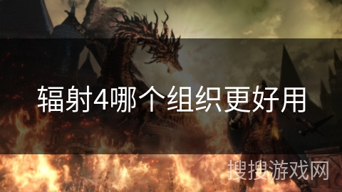 辐射4哪个组织更好用