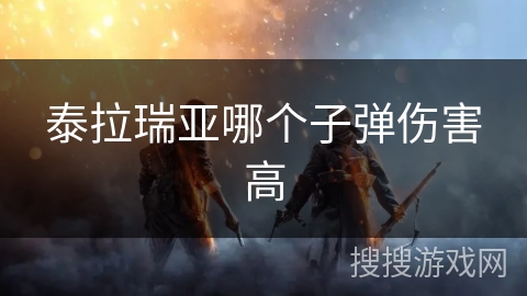 泰拉瑞亚哪个子弹伤害高