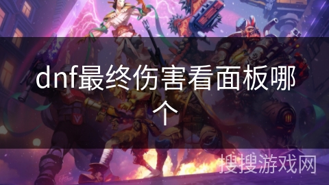 dnf最终伤害看面板哪个