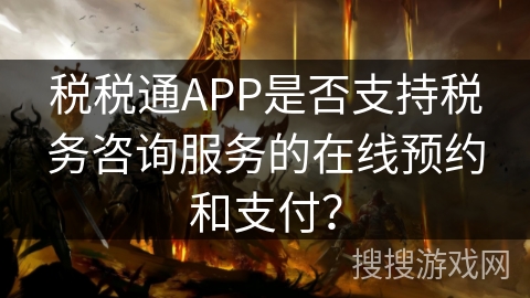税税通APP是否支持税务咨询服务的在线预约和支付？