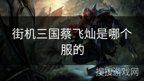 街机三国蔡飞灿是哪个服的