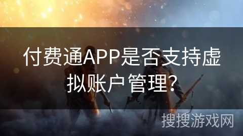 付费通APP是否支持虚拟账户管理？
