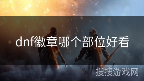 dnf徽章哪个部位好看 dnf徽章哪个部位好看