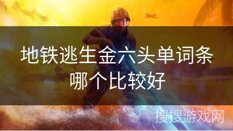 地铁逃生金六头单词条哪个比较好