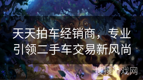 天天拍车经销商,专业引领二手车交易新风尚 天天拍车经销商,专业引领二手车交易新风尚