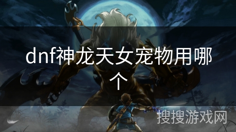 dnf神龙天女宠物用哪个 dnf神龙天女宠物用哪个