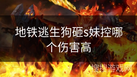 地铁逃生狗砸s妹控哪个伤害高