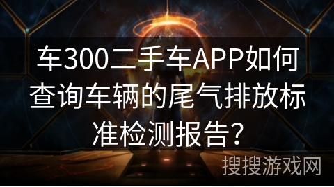 车300二手车APP如何查询车辆的尾气排放标准检测报告？