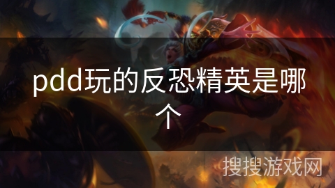 pdd玩的反恐精英是哪个