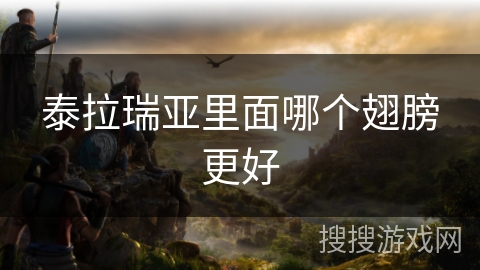 泰拉瑞亚里面哪个翅膀更好