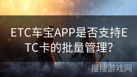 ETC车宝APP是否支持ETC卡的批量管理？