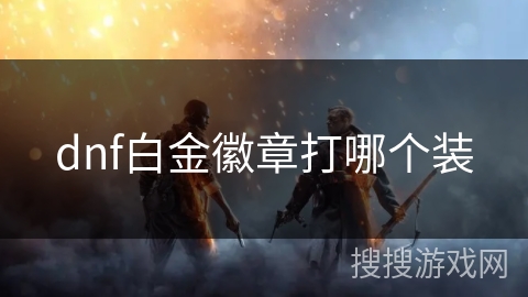 dnf白金徽章打哪个装