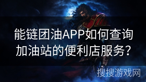 能链团油APP如何查询加油站的便利店服务？