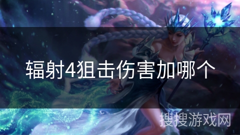 辐射4狙击伤害加哪个